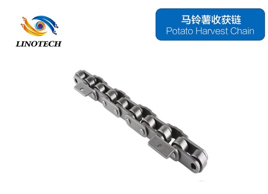 Potato harvesting chain